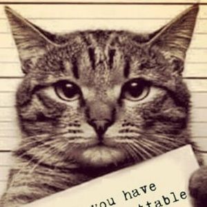 Meet your Posher, Deb